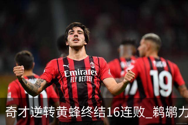 奇才逆转黄蜂终结16连败 鹈鹕力克76人3连胜